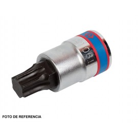 Copa Punta Torx 3/4 X T60