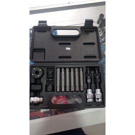 Kit Extractor Poleas Alternador, 13 Pzas