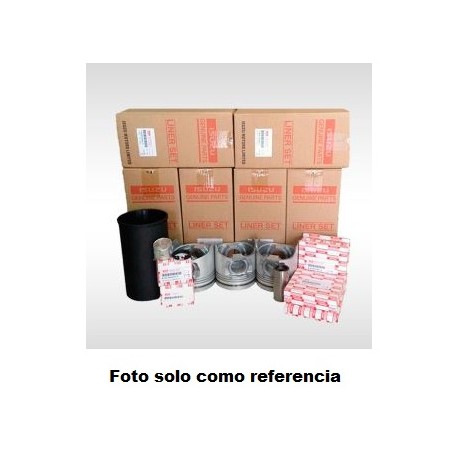 Kit de reparacion motor OVERHAUL