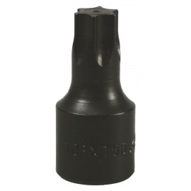 Punta torx T50, cuadrante 3/8"