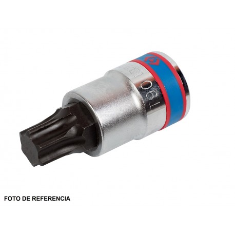 Copa Punta Torx 3/4 X T80