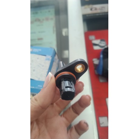 Sensor posición eje levas escape