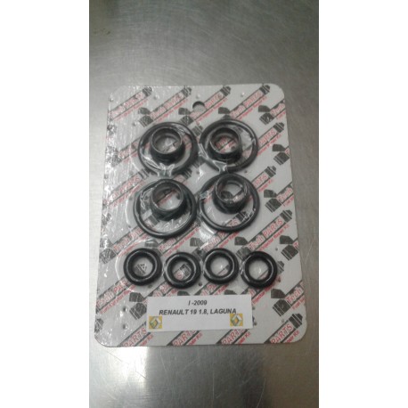Kit de orings y filtros inyectores