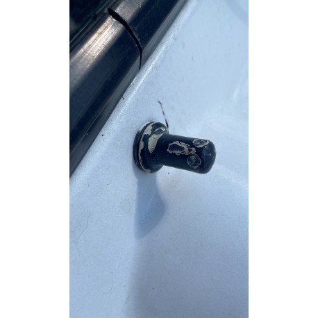 Rociador lavavidrio (sapito o miona)