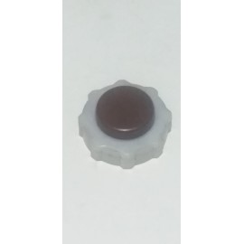 Tapa Deposito de expansion (agua motor)