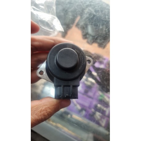 Valvula control de minima (IAC)