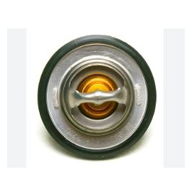 Termostato (solo sin carcasa)