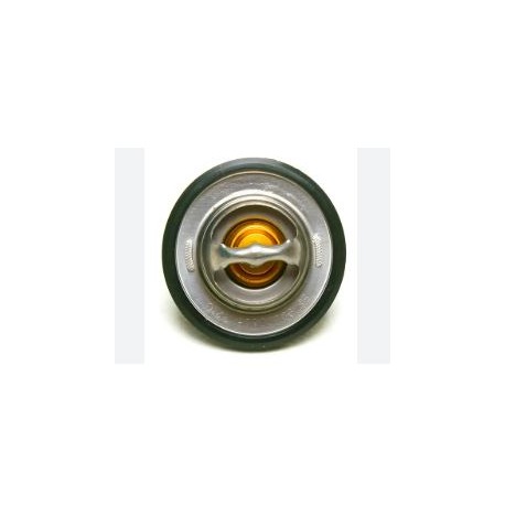 Termostato (solo sin carcasa)