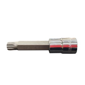 Copa Spline, Pluridentada M14