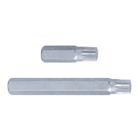 Punta Pluridentada 10mm X M14