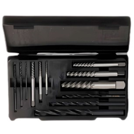 Jgo. Extractor Tornillos, 12 Pzas                           